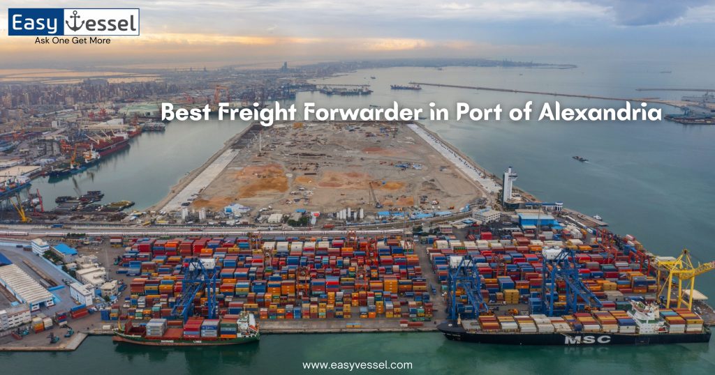 find the best freight forwarders in Port of Alexandria